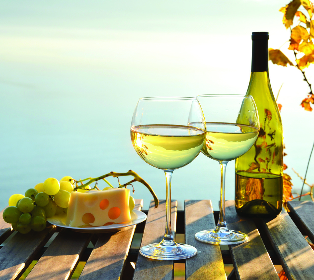 Ελληνικά Κρασιά undefined