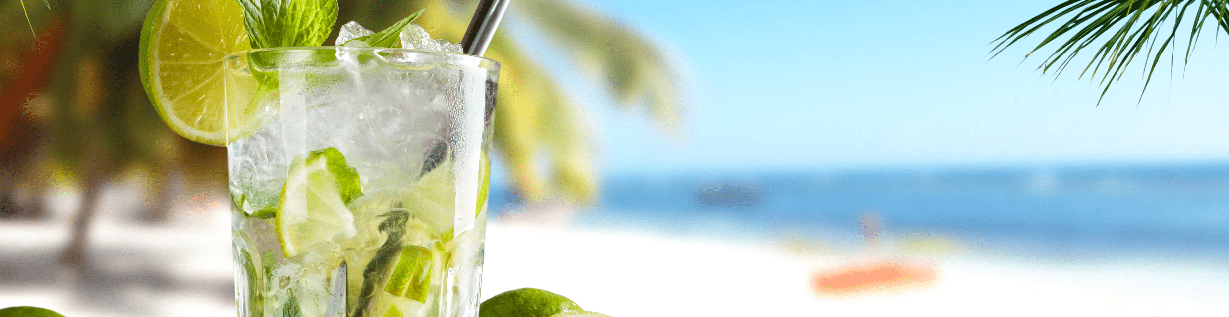 Mojito summer recipe