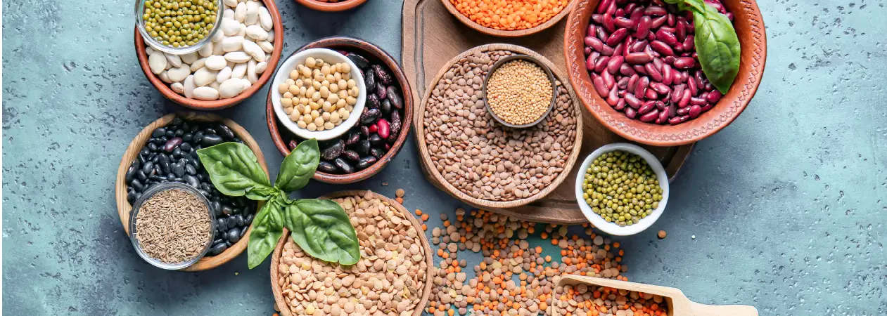 Θησαυροί του ελληνικού τραπεζιού undefined