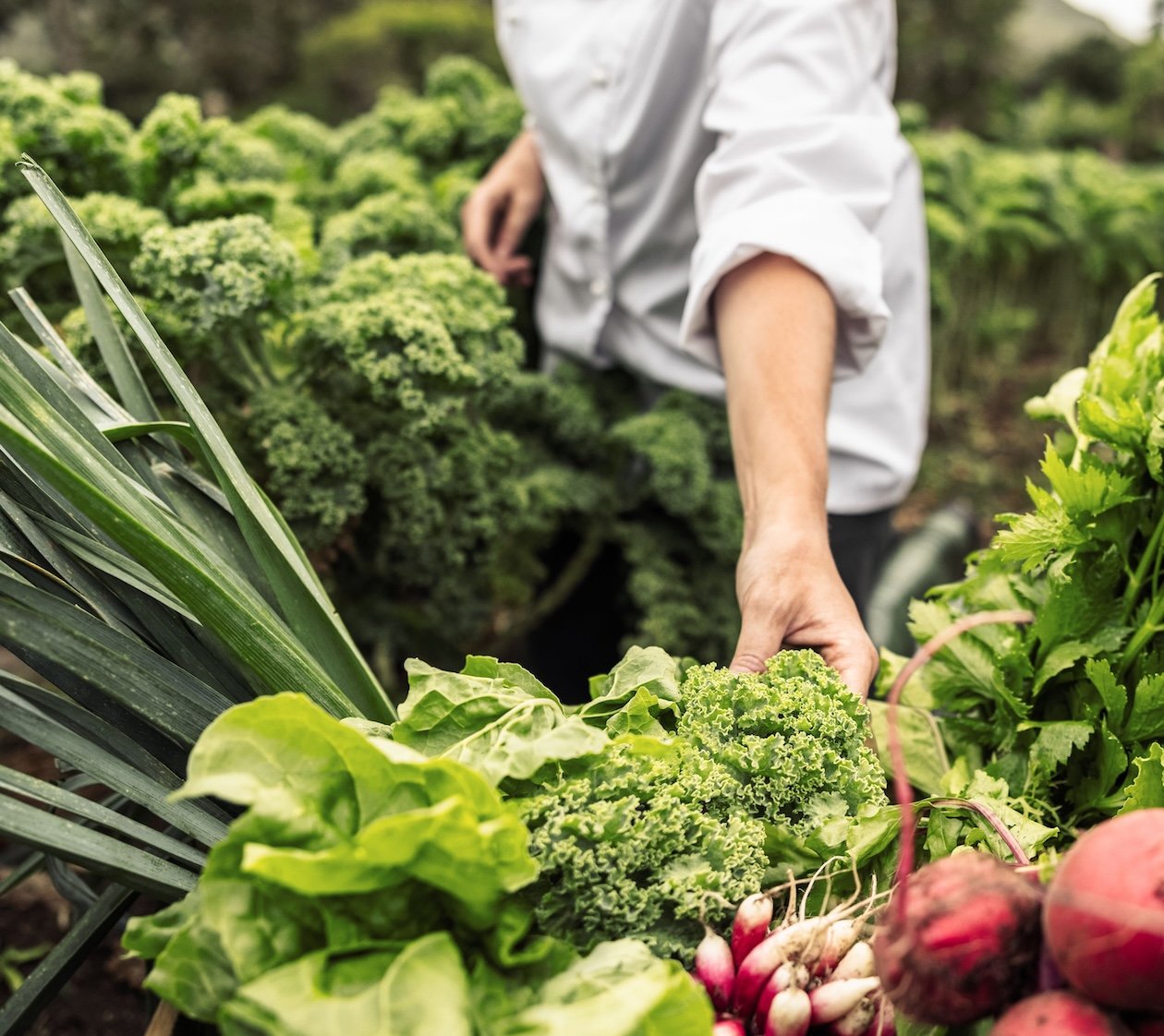 Direct de la Producător undefined