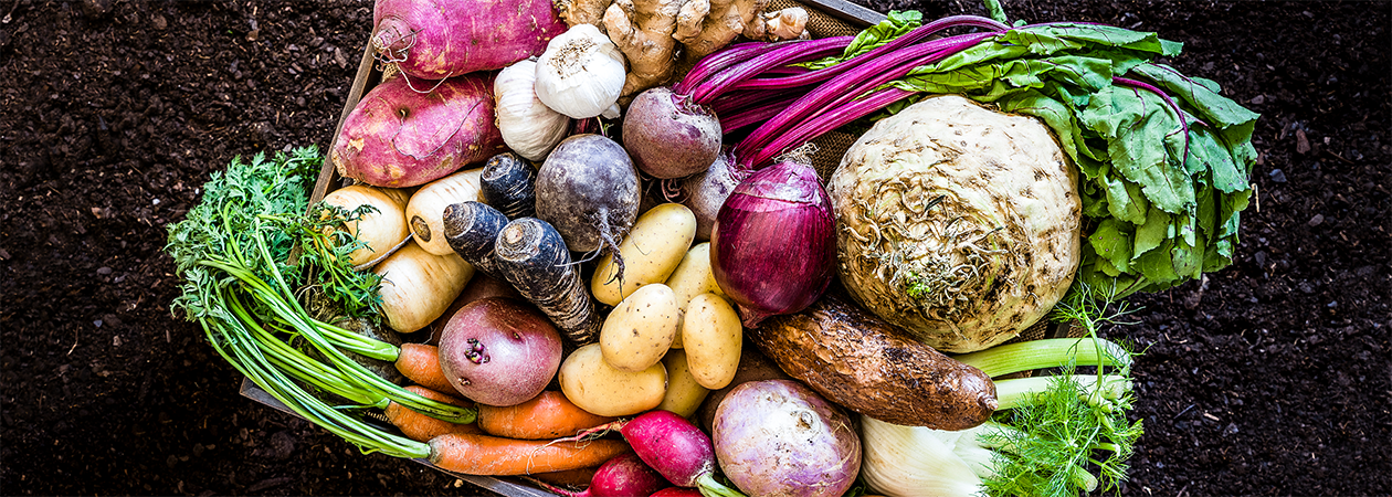 Certified Organic Products undefined